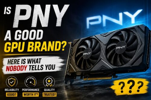 Is PNY a Good GPU Brand? Here Is What Nobody Tells You